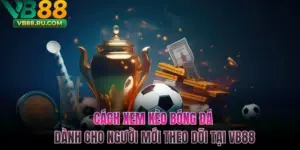 Cách Xem Kèo Bóng Đá Dành Cho Người Mới Theo Dõi Tại VB88