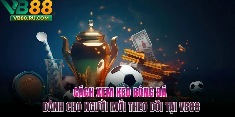 Cách Xem Kèo Bóng Đá Dành Cho Người Mới Theo Dõi Tại VB88