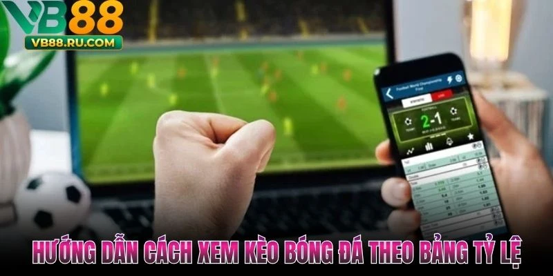 Hướng dẫn cách xem kèo bóng đá theo bảng tỷ lệ