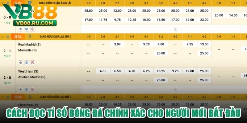 Cách Đọc Tỉ Số Bóng Đá Chính Xác Cho Người Mới Bắt Đầu