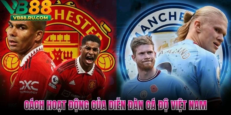 Cách hoạt động của diễn đàn cá độ Việt Nam