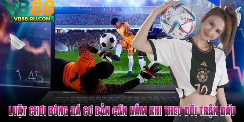 Luật Chơi Bóng Đá Cơ Bản Cần Nắm Khi Theo Dõi Trận Đấu