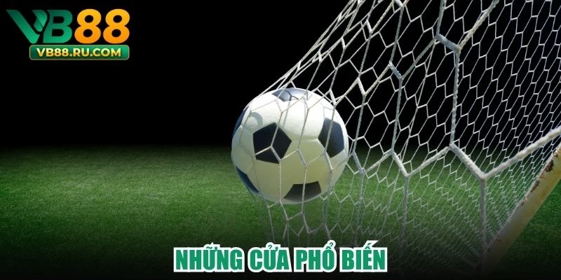 Những cửa phổ biến