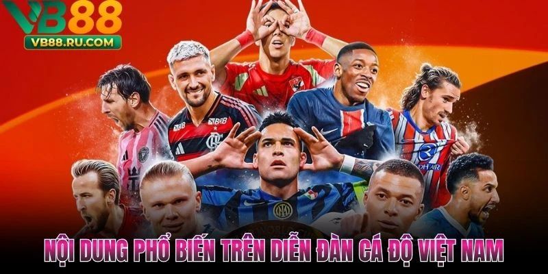 Nội dung phổ biến trên diễn đàn cá độ Việt Nam