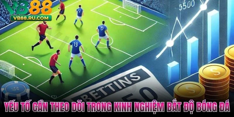 Yếu tố cần theo dõi trong kinh nghiệm bắt độ bóng đá
